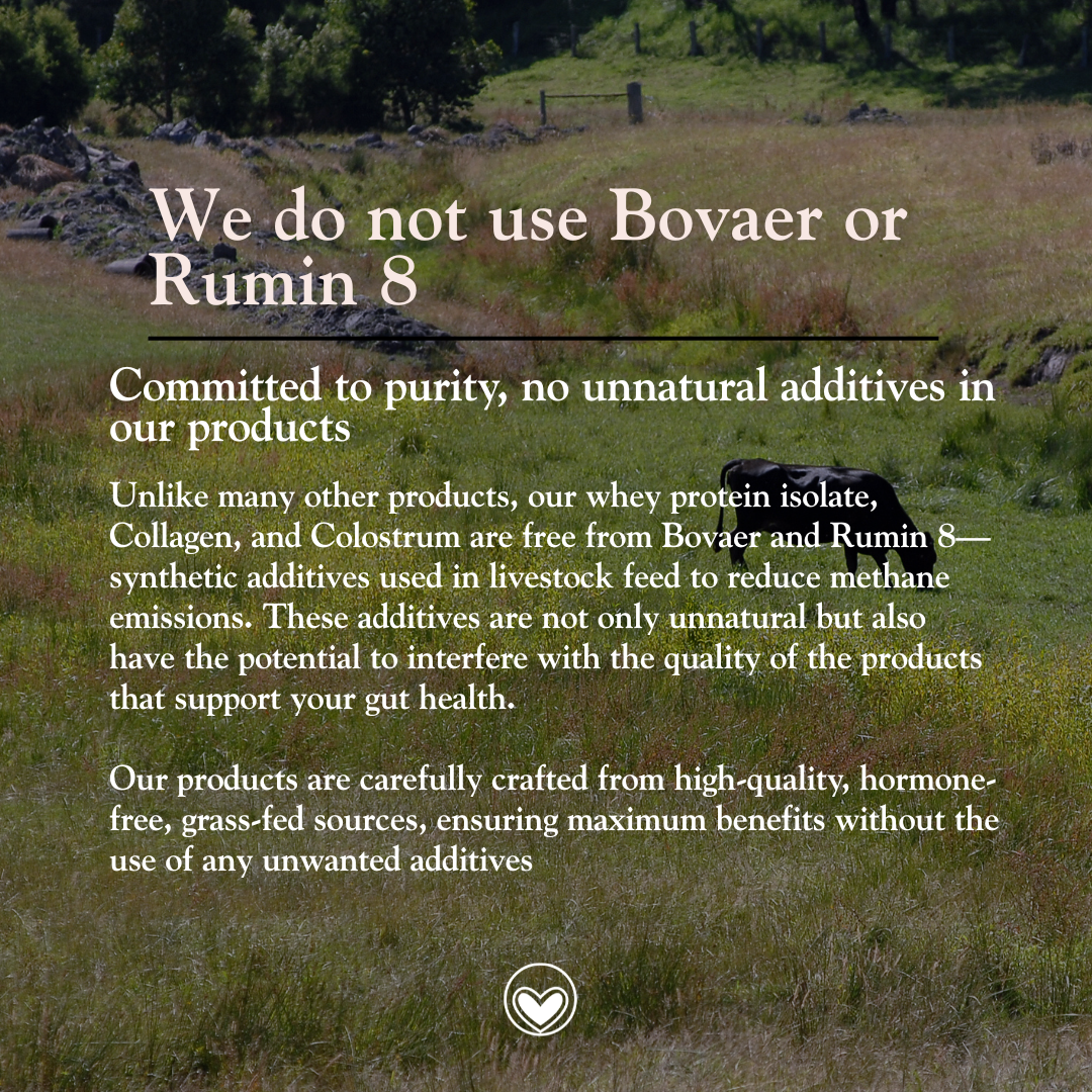 WHEY MORE PROTEIN POWDER