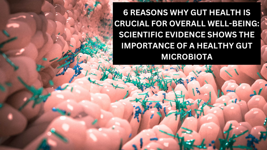 6 Reasons Why Gut Health is Crucial for Overall Well-Being: Scientific Evidence Shows the Importance of a Healthy Gut Microbiota"