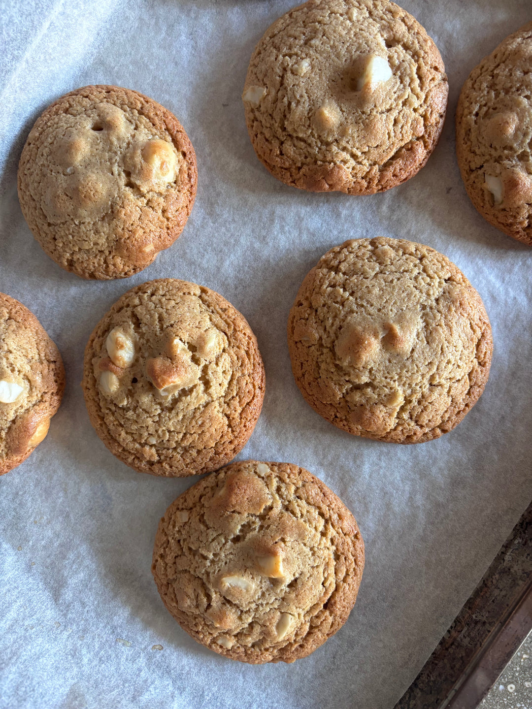 MISO, MACADAMIA & TAHINI COOKIES
