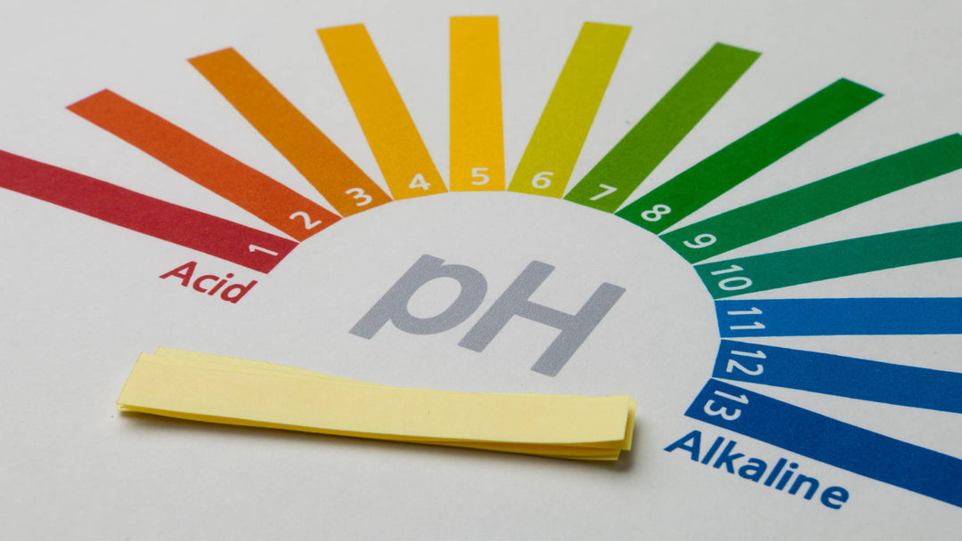 How To Use PH Testing Strips