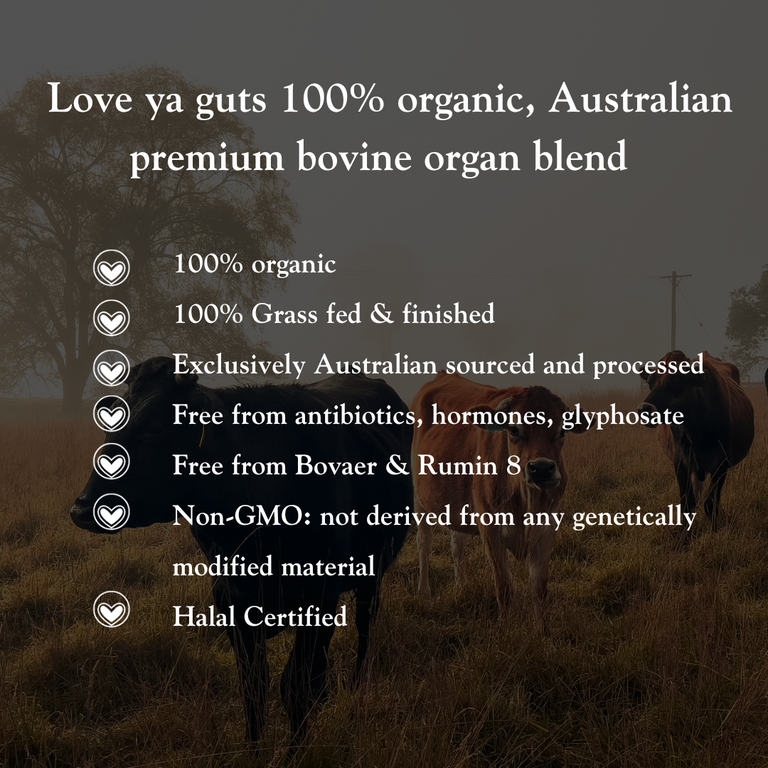BEEF ORGAN MULTI CAPSULES- LIVER, HEART, KIDNEY, SPLEEN