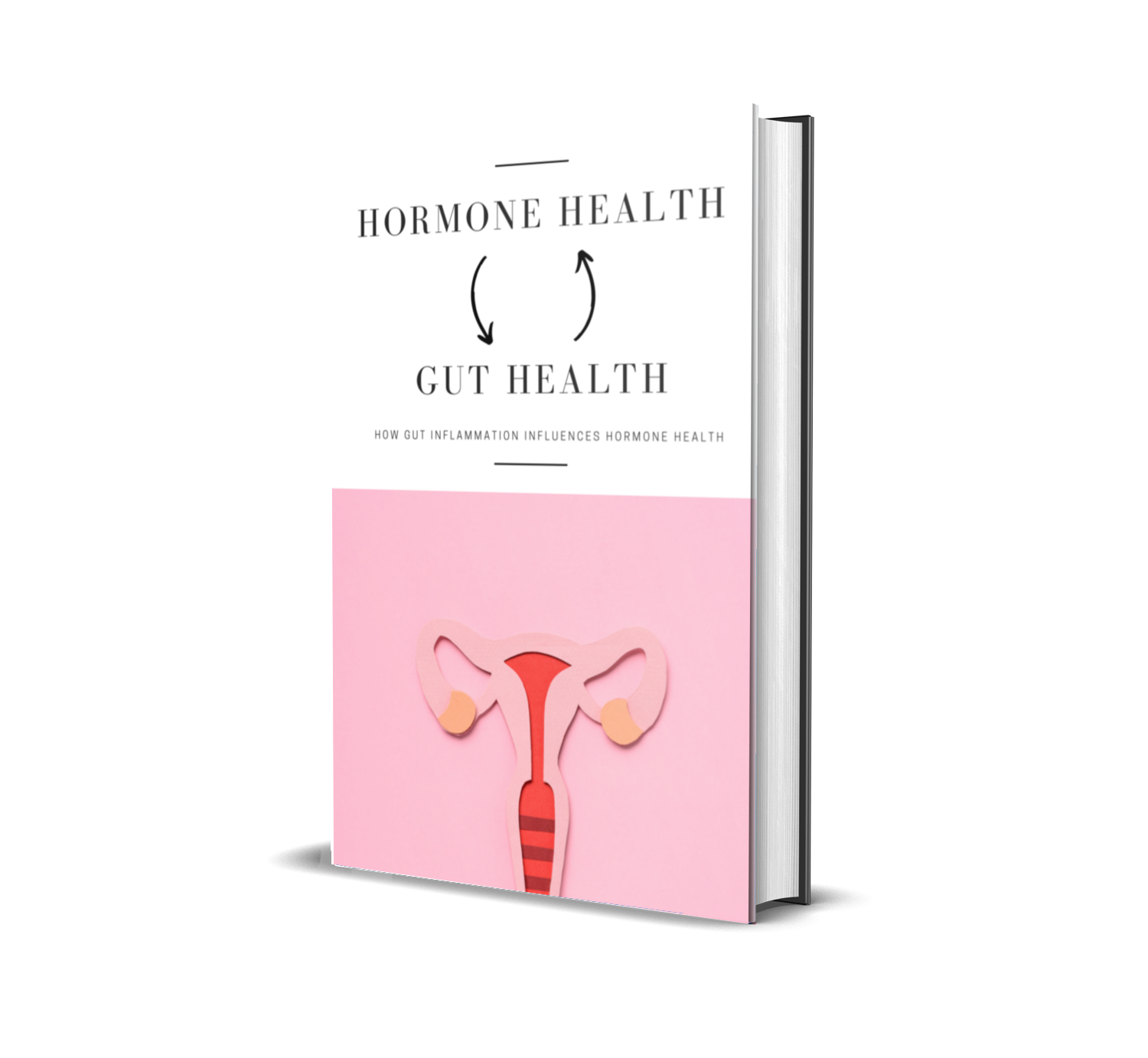 Gut Health & Hormone Ebook